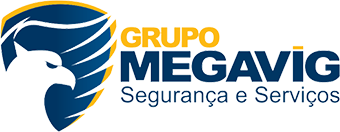 Grupo Megavi